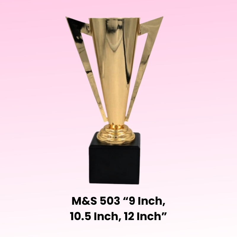 Awards Modal Number M&S 995