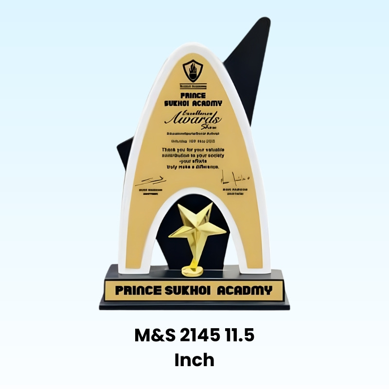 Awards Modal Number M&S 2029