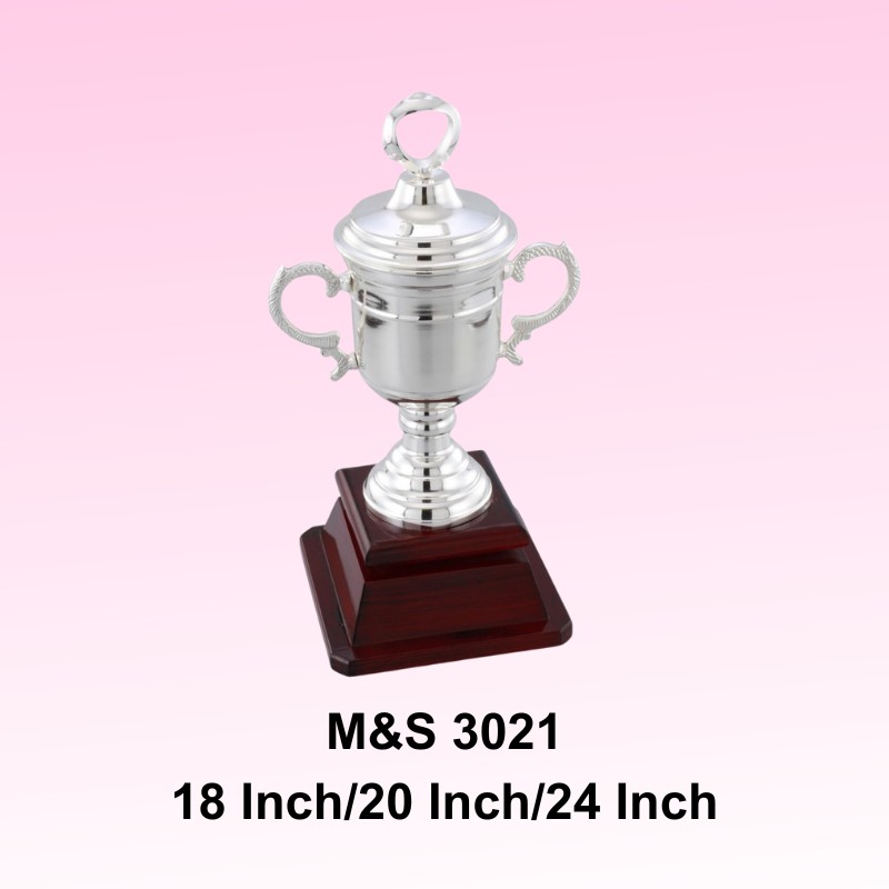 Awards Modal Number M&S 3021