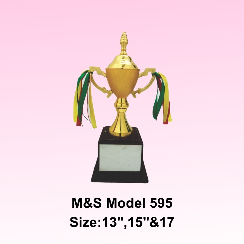 Awards Modal Number M&S 995